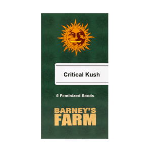 Barney's Farm Critical Kush | Feminisiert