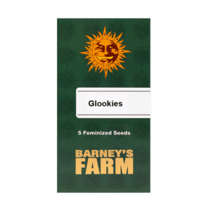 Barney's Farm Glookies | Feminisiert