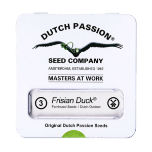 Dutch Passion Frisian Duck | Feminisiert