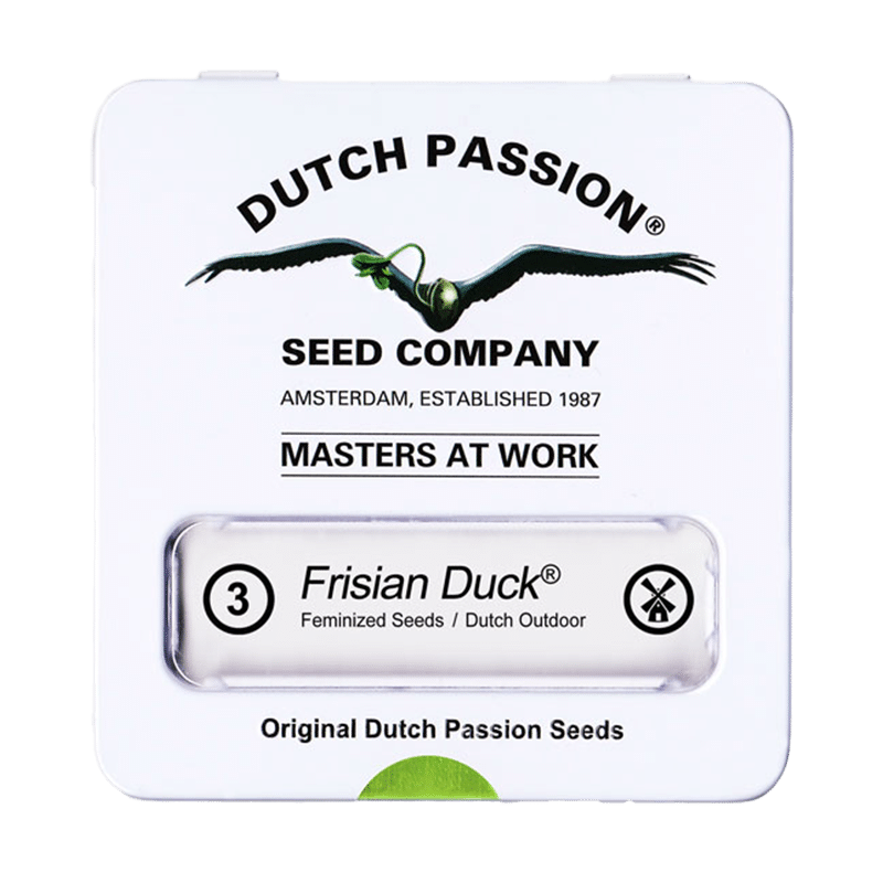 Dutch Passion Frisian Duck | Feminisiert