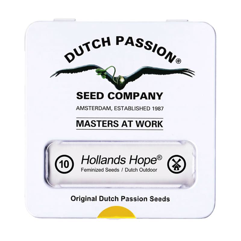 Dutch Passion Hollands Hope | Feminisiert