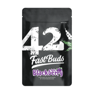 Fast Buds Blackberry | Autoflowering