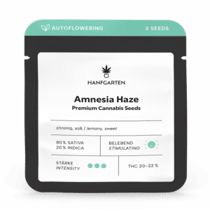 Hanfgarten Amnesia Haze | Autoflowering