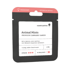 Hanfgarten Animal Mints | Feminisiert