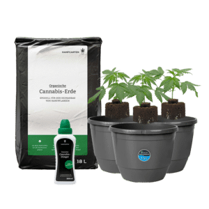 Hanfgarten Automatic Sämlinge Rundum Sorglos Paket