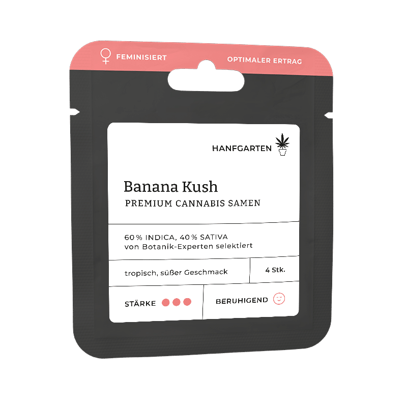 Hanfgarten Banana Kush | Feminisiert