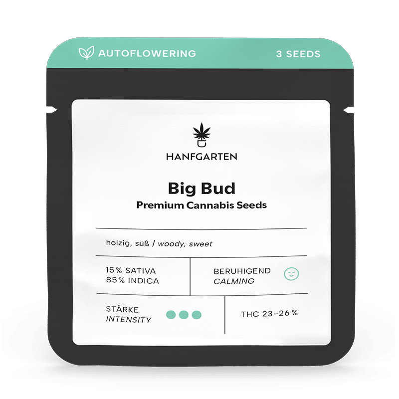Hanfgarten Big Bud | Autoflowering