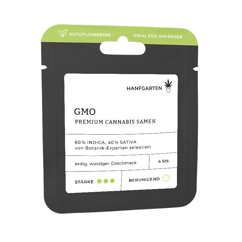 Hanfgarten GMO | Autoflowering