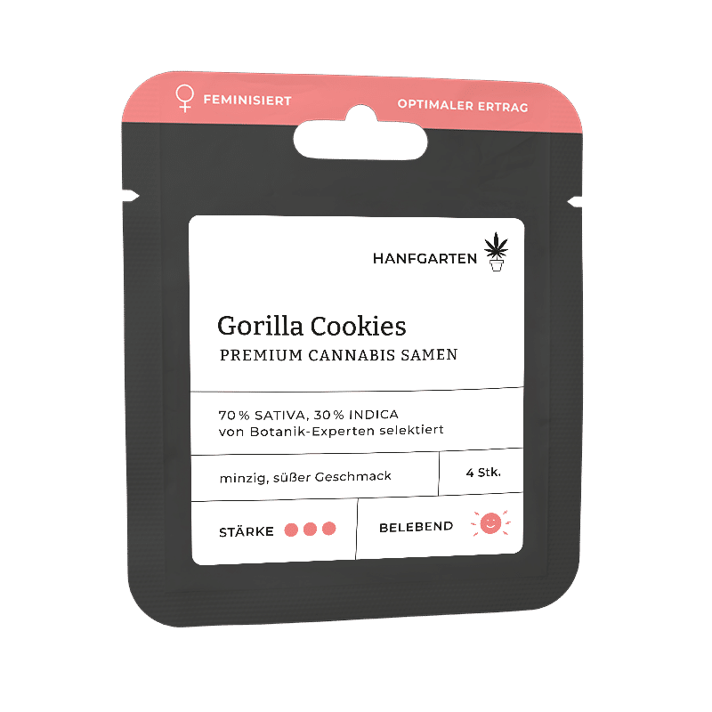 Hanfgarten Gorilla Cookies | Feminisiert