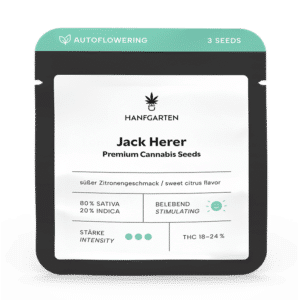 Hanfgarten Jack Herer | Autoflowering