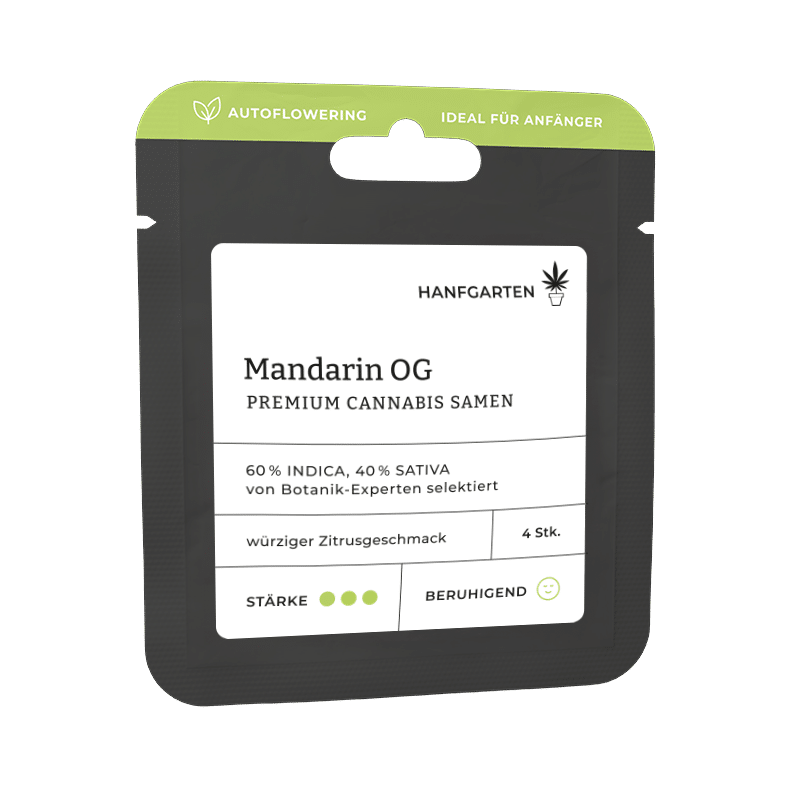 Hanfgarten Mandarin OG | Autoflowering