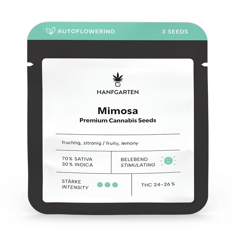 Hanfgarten Mimosa | Autoflowering