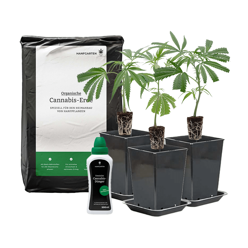 Hanfgarten Outdoor-Anbau Rundum Sorglos Paket