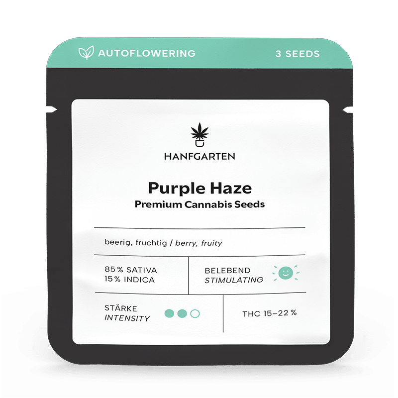Hanfgarten Purple Haze | Autoflowering