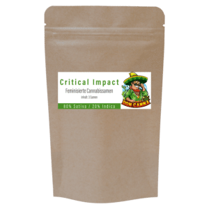 Hanfosan Critical Kush Impact Samen Premium THC 24%