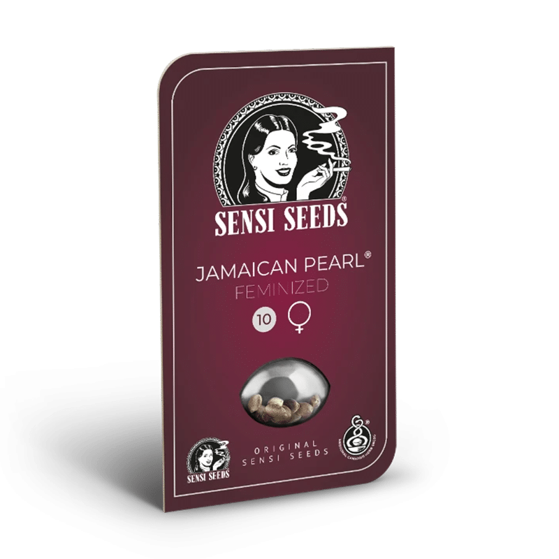 Sensi Seeds Jamaican Pearl | Feminisiert