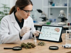 CBD psychoaktiv